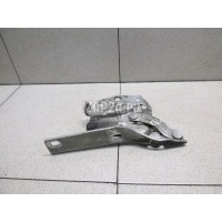 Петля капота левая VAG Passat [B6] (2005 - 2010) 3C0823301E