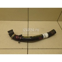 Патрубок радиатора Ford Fiesta (2001 - 2008) 1528662