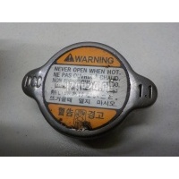 Крышка радиатора Hyundai-Kia Mohave 2009 253302E000
