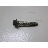 Болт клапанной крышки Renault Vel Satis (2002 - 2009) 7703002637