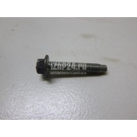 Болт клапанной крышки Renault Vel Satis (2002 - 2009) 7703002637