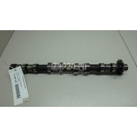 Распредвал впускной Land Rover Discovery Sport (2014 - ) LR021913