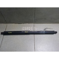 Амортизатор двери багажника BMW X5 E70 (2007 - 2013) 51247177283
