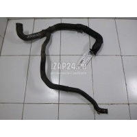 Шланг системы охлаждения Renault Kangoo (2003 - 2008) 8200331306