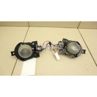 Плафон салонный Nissan QX56 (JA60) (2004 - 2009) 26460ZR00A