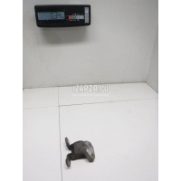 Петля двери задней правой нижняя Hyundai-Kia Terracan (2001 - 2007) 79360H1000