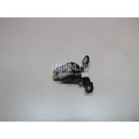 Петля двери Renault Scenic III (2009 - 2015) 804804993R