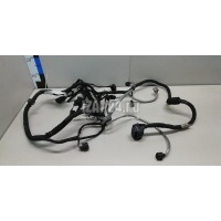 Проводка (коса) VAG Passat [B7] (2011 - 2015) 03L971604Q