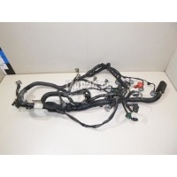 Проводка (коса) Nissan Micra (K12E) (2002 - 2010) 24011BC001