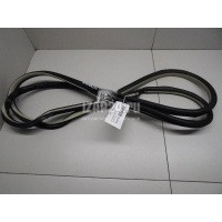 Уплотнитель двери Nissan EX/QX50 (J50) (2008 - 2017) 808301BA0A