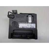 Блок электронный Hyundai-Kia Santa Fe (CM) (2006 - 2012) 954002B470