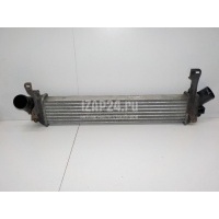 Интеркулер Renault Kangoo (2003 - 2008) 8200221885