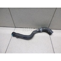 Патрубок отопителя Ford Fiesta (2001 - 2008) 1547685