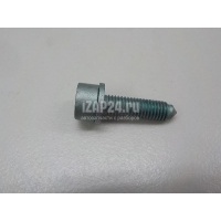 Болт VAG A8 [4E] (2002 - 2010) WHT001239