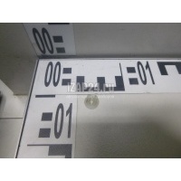Крепеж (клоп) Nissan X-Trail (T30) (2001 - 2006) 01281-00431