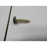 Винт Renault Scenic (1999 - 2003) 7703017111