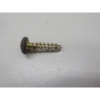 Винт Renault Scenic (1999 - 2003) 7703017111