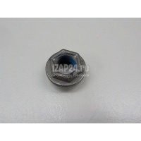 Гайка VAG Exeo (2009 - 2013) WHT000428