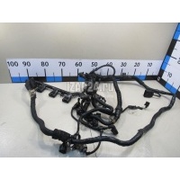 Проводка (коса) VAG Octavia (A5 1Z-) (2004 - 2013) 06F972619L