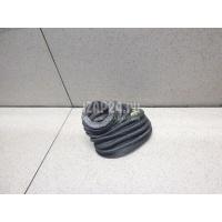 Уплотнитель (наружный) VAG Leon (1M1) (1999 - 2006) 8D0959845E