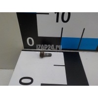 Болт суппорта Nissan Pathfinder (R51) (2005 - 2014) 411360W700