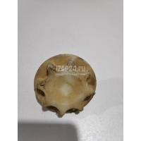 Болт крепления запасного колеса Yaris Verso 1999 - 2005 5193152010