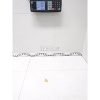 Крепеж (клоп) Land Rover Discovery V 2017 LR090727