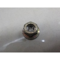Гайка Iveco Newdaily (1999 - ) 17044621