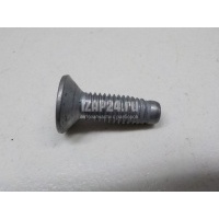 Болт Renault Megane II (2003 - 2009) 7703004170