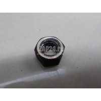 Гайка Iveco Newdaily (1999 - ) 500322677