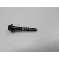 Болт Nissan Qashqai (J10) (2006 - 2014) 13058ED000