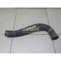 Патрубок радиатора Ford Ranger (1998 - 2006) 5031513