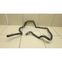 Шланг системы охлаждения Ford C-MAX (2003 - 2010) 1473398
