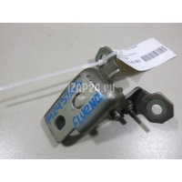 Петля двери Renault Scenic III (2009 - 2015) 804804993R