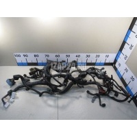 Проводка (коса) Nissan X-Trail (T31) (2007 - 2014) 24011-jh72a