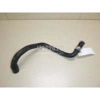Патрубок отопителя Ford C-MAX (2003 - 2010) 1469330