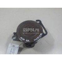 Насос гидроусилителя Hyundai-Kia Sportage (1993 - 2006) 0K02232680C
