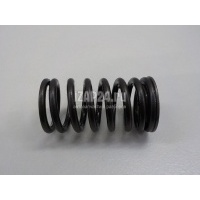 Пружина клапана выпускного Nissan Qashqai (J10) (2006 - 2014) 13211CK80C