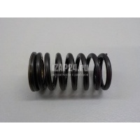 Пружина клапана выпускного Nissan Qashqai (J10) (2006 - 2014) 13211CK80C