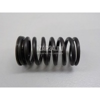Пружина клапана выпускного Nissan Qashqai (J10) (2006 - 2014) 13211CK80C