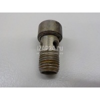 Болт турбокомпрессора (турбины) VAG Alhambra (2000 - 2010) 06A145541J