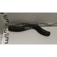 Патрубок радиатора Toyota Camry V30 (2001 - 2006) 165710H080