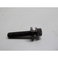 Болт коленвала Citroen-Peugeot 2008 (2013 - ) 0516L8