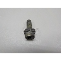Болт Fiat Doblo Nuovo 2010 55269765