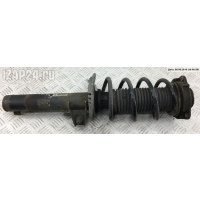 Стойка подвески Перед. Volkswagen Golf-5 Plus 2006 1T0413031DN