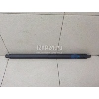 Амортизатор двери багажника BMW X5 E70 (2007 - 2013) 51247294199