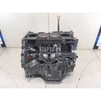 Блок двигателя Nissan Qashqai (J10) (2006 - 2014) 10103JD00F