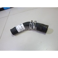 Патрубок радиатора Nissan QX56 (JA60) (2004 - 2009) 210477S000