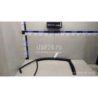 Уплотнитель стекла двери VAG Jetta (2011 - ) 5C68394325AP