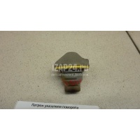 Патрон указателя поворота GM XTS (2012 - 2017) 22791377